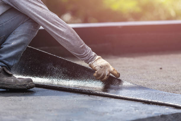 Professional Interior Drainage System technician working in Richland, GA